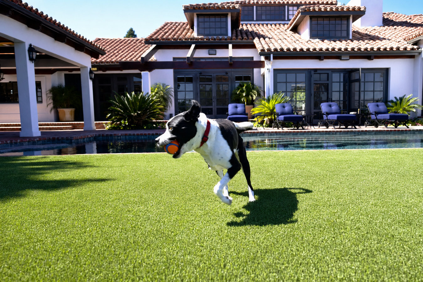 Pet-friendly turf